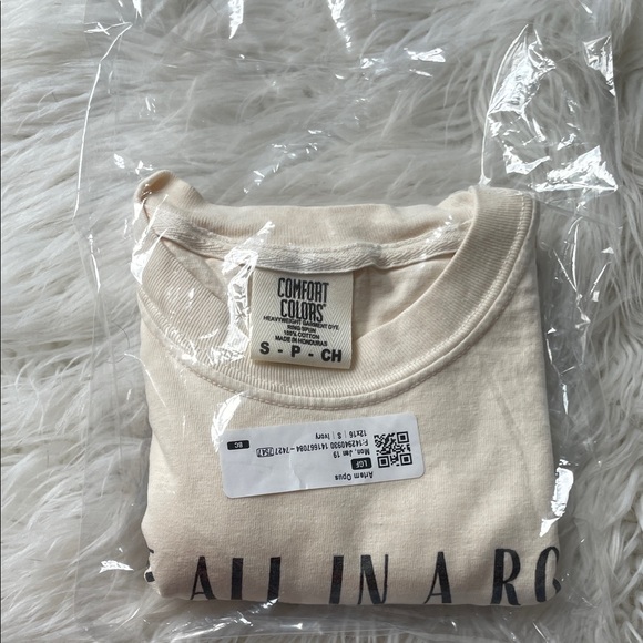 Comfort Colors Ducks Cream Graphic Tee - Short Sleeve - Picture 4 of 4